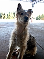 Patagonie 025